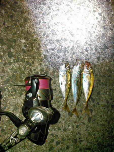 久しぶりのナイトゲーム